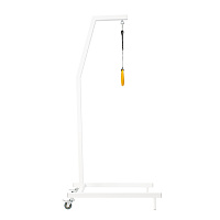 G100